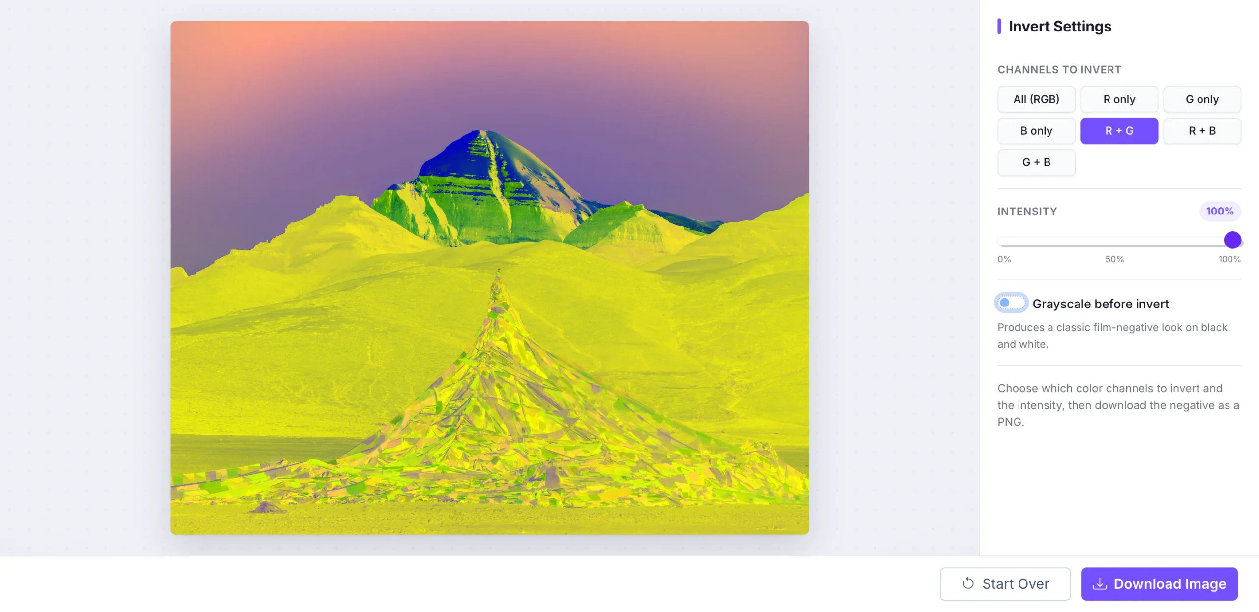 Pixellize invert image tool showing inverted landscape with channel controls