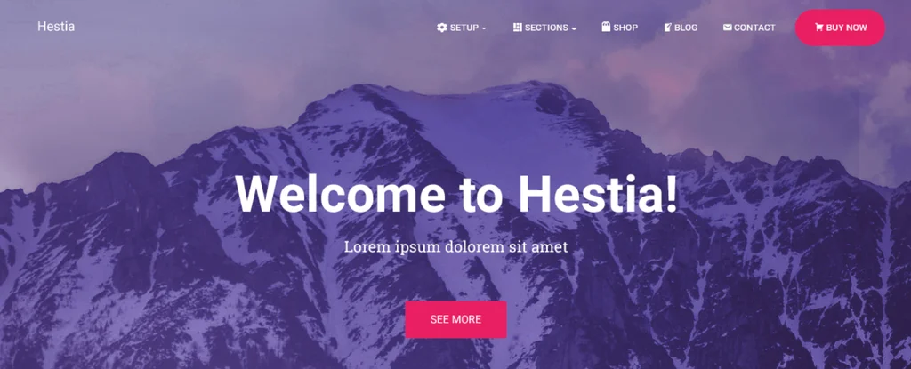 Hestia free WordPress theme one page demo