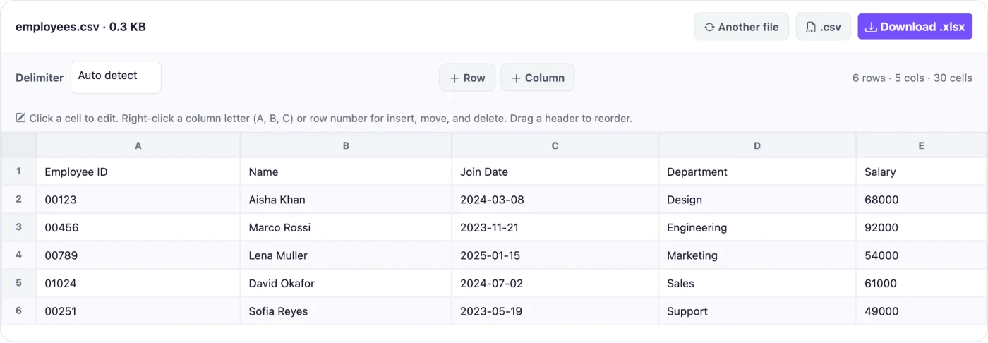 CSV to Excel converter grid showing employee data with leading zeros preserved