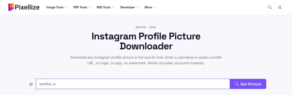 Entering the username pixellize_io in the Instagram profile picture downloader