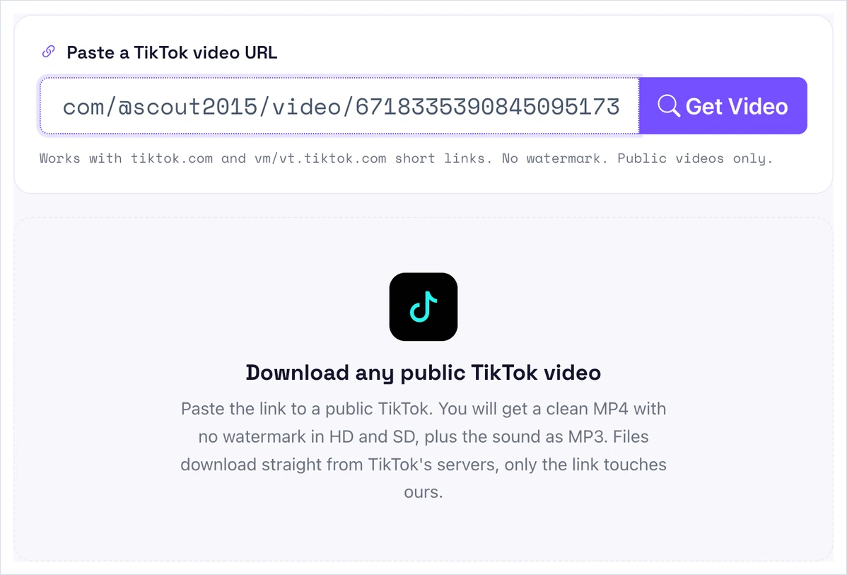 A TikTok video link pasted in the Pixellize downloader, ready to fetch the sound