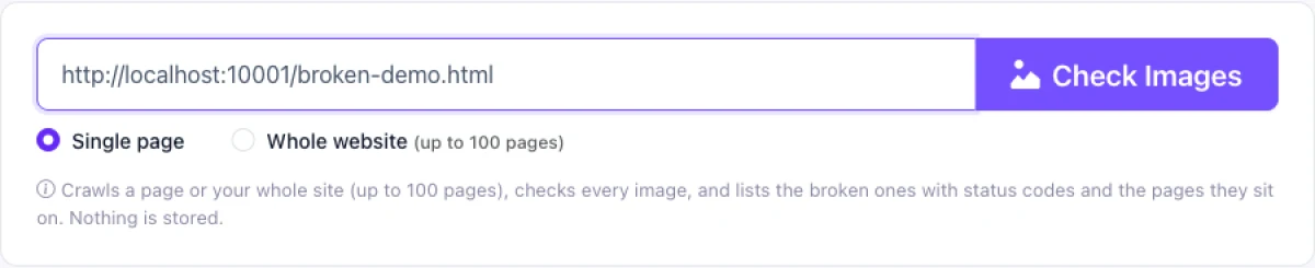 How to find broken images on a website, step 1 paste the URL into the checker