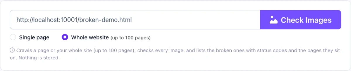 Step 2, choose single page or whole site in the broken image checker