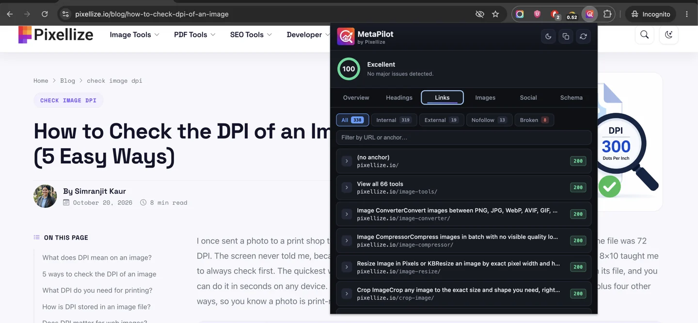 MetaPilot Chrome extension Links tab with a Broken filter showing link status codes on a page